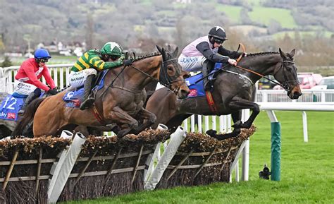 The 2024 Sky Bet Supreme Novices' Hurdle: stats, trends and .